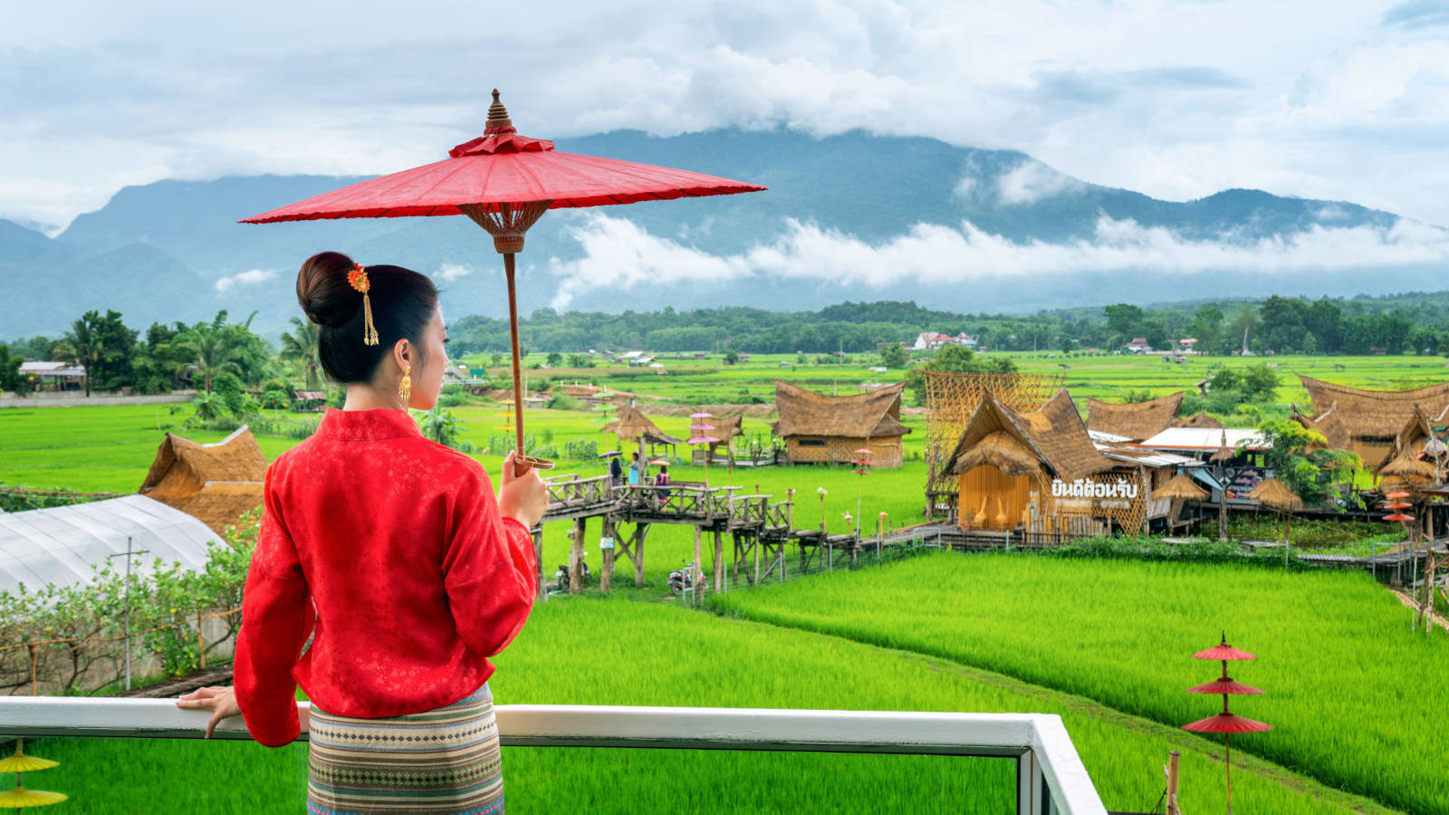 Rice fields, Nan, North Thailand